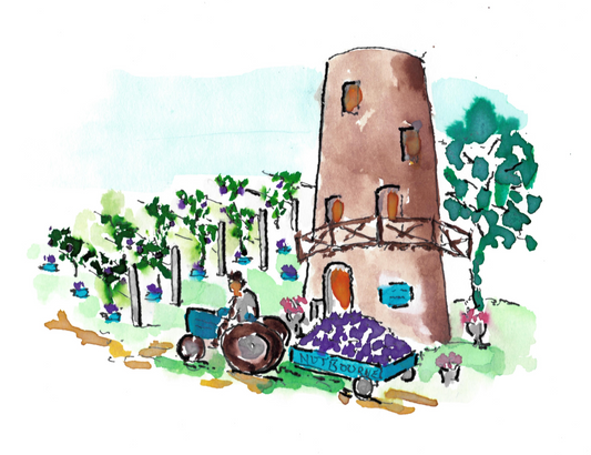 Harvest Farm Feast in September