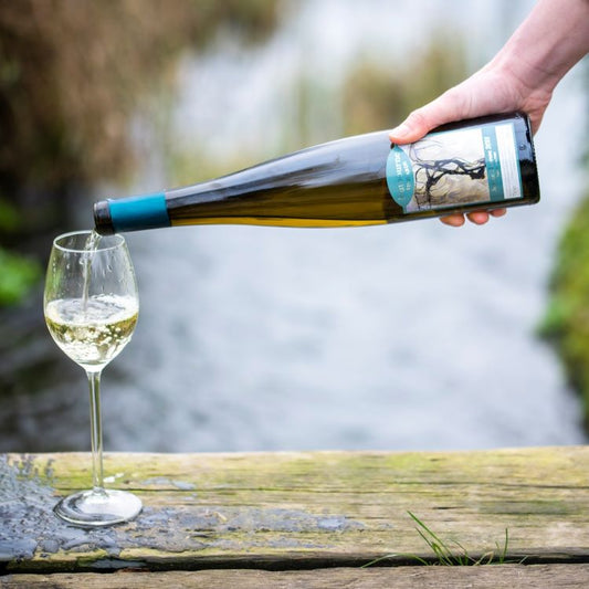 Vineyard Tour & Tasting